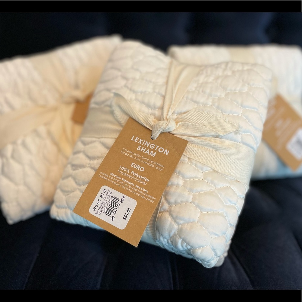 West Elm Lexington Euro Shams